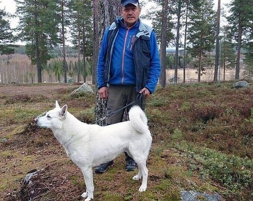 Алексей