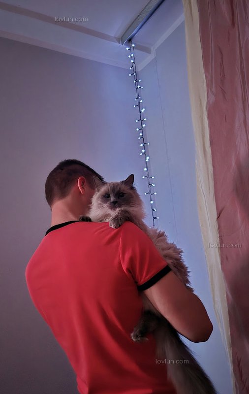 Вадя